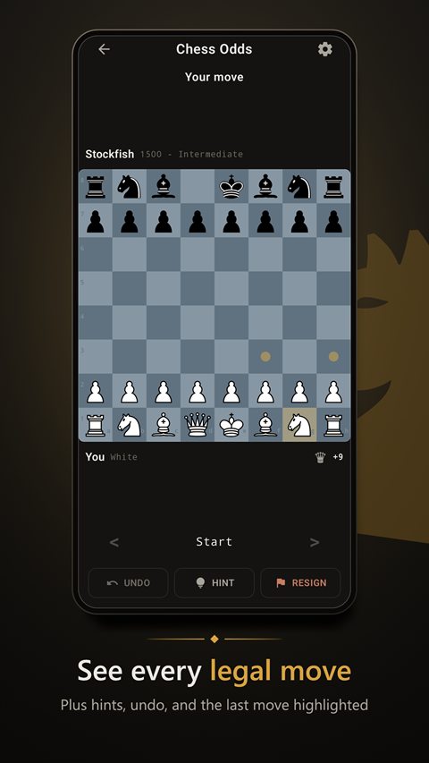 See every legal move, plus hints and undo